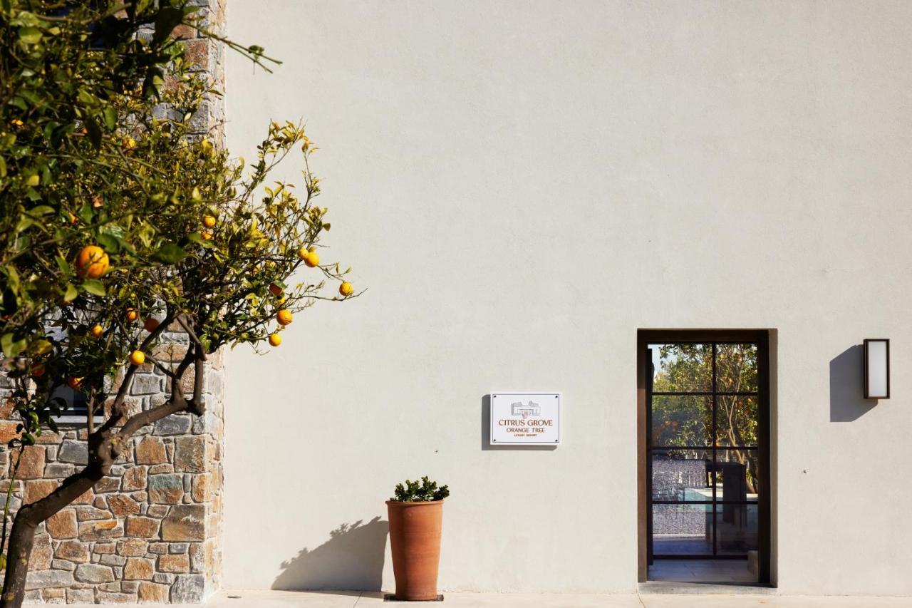 Citrus Grove Luxury Villas Skaleta Bagian luar foto